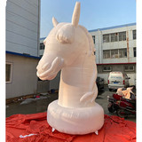 Horse 20