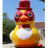 Duck 07