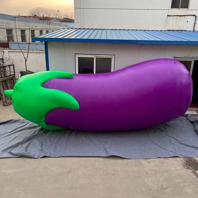 Eggplant 27
