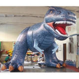 Dinosaur 25
