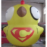 Chicken 04