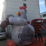 Rooster 10