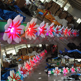 Flower Rope 12