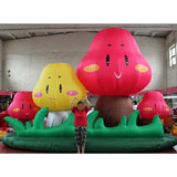 Mushroom 17