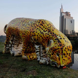 Leopard 03