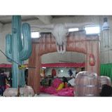 Cactus 08