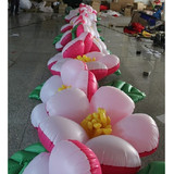 Flower Rope 08