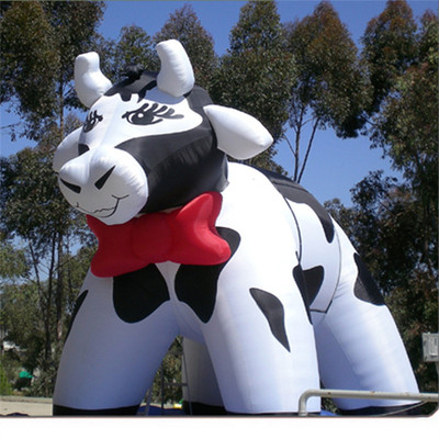 Cow 09