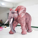 Elephant 42