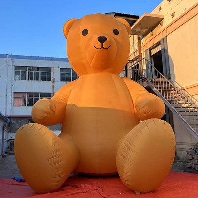 Bear 24