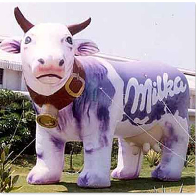 Cow 14