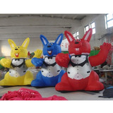 Rabbit 05