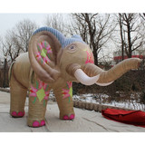 Elephant 09