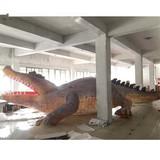 Crocodile 19