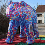 Bear 11