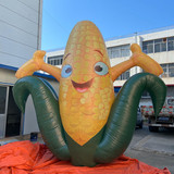 Corn 31