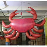Crab 149