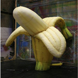 Banana 27
