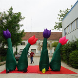 Ground Flower 13