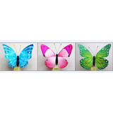 Butterfly 17