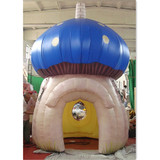 Mushroom 09