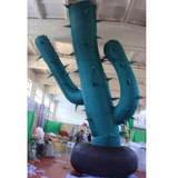 Cactus 03