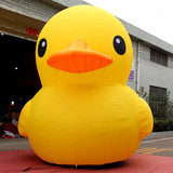 Duck 04