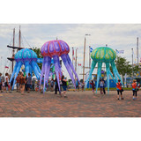 Jellyfish 05