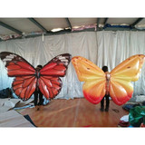 Butterfly 03