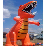 Crocodile 06