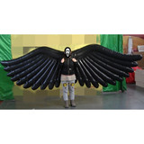 Wing 03