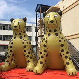 Leopard 06