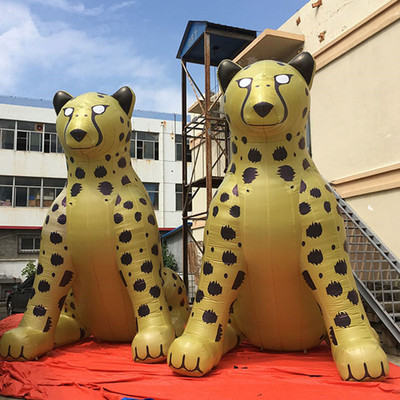 Leopard 06