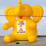 Elephant 22