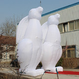 Rabbit 14