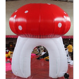 Mushroom 08