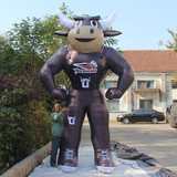 Bull 02
