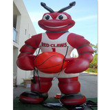 Bee 52