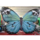 Butterfly 08