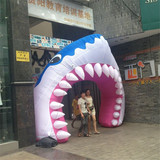 Shark Arch 246