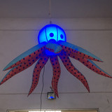 Jellyfish 09