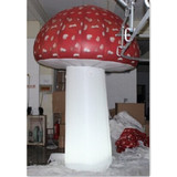 Mushroom 14