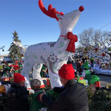 Deer 176