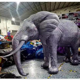 Elephant 56
