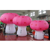 Mushroom 04