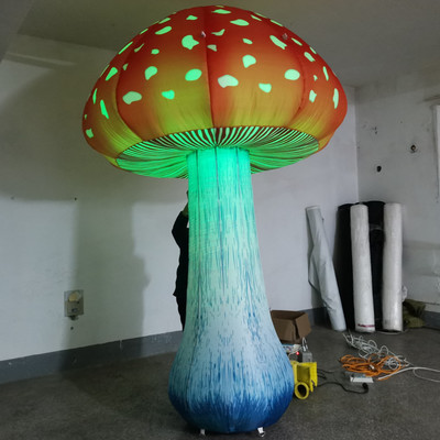 Mushroom 07
