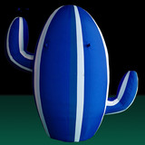 Cactus 09