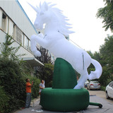 Horse 24