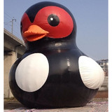 Duck 08