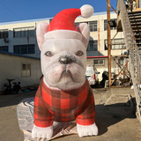 Bulldog 02